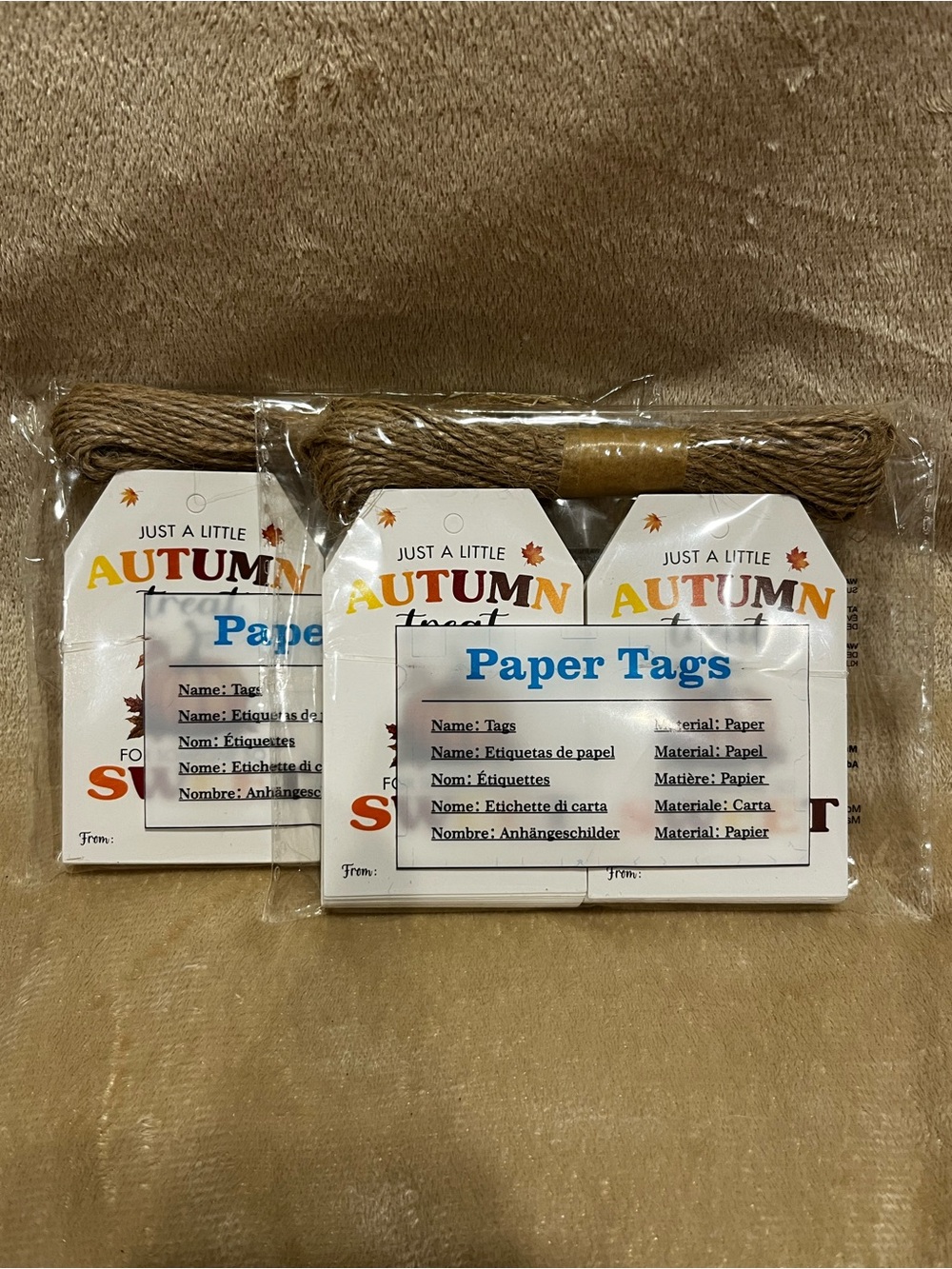 Autumn Treat Gift Tags - 100 Pack Pumpkin Fall Party Favors (3.3x2.1 in) 
